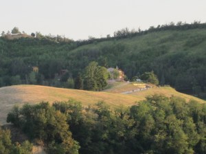 The owners of the vineyard also own this house in the hills beyond. Likely pretty darn quiet there!