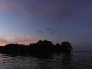 One part of the island is a bird sanctuary. 