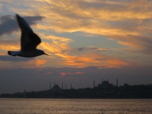 Mother nature loves this city too! The sky often gets this beautiful at sunset. And the bird was intent on getting into the picture.