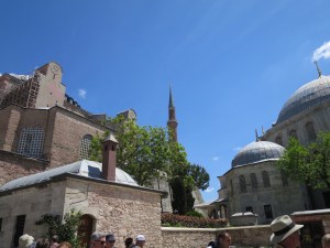 Aya Sofia 8