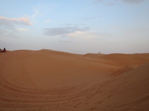 Desert Dunes. Wahiba Sands.
