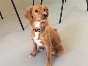 Mykonos_Myconian Inn 2