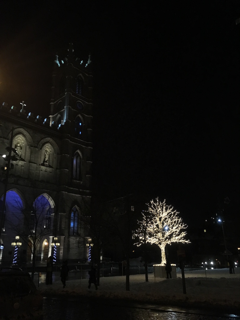 Old Montreal Tree in Lights