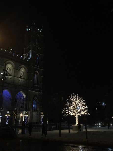 Old Montreal Tree in Lights